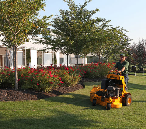 A man on a lawn mower in the middle of a garden.
